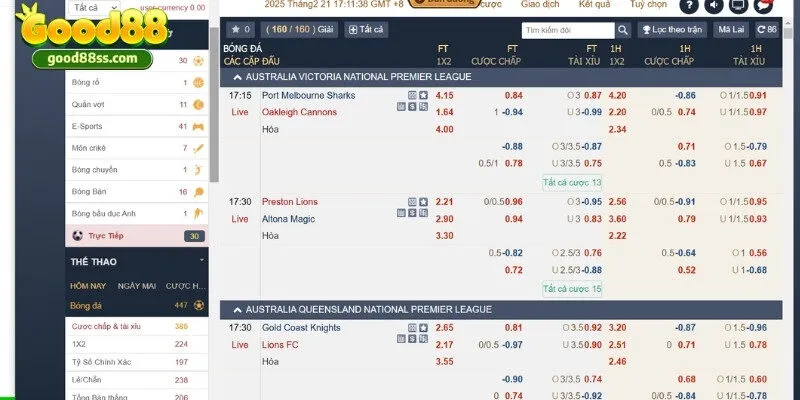 Tổng hợp những bộ môn thể thao có lượt truy cập khủng nhất